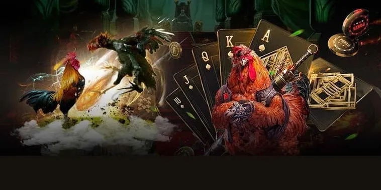 Làm Chủ Sảnh Cược Đá Gà GA28 Tại 79King Cực Dễ 1 Làm Chủ Sảnh Cược Đá Gà GA28 Tại 79King Cực Dễ