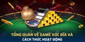 Bí Kíp Chơi Xóc Đĩa Tại 79King Luôn Thắng Đậm
